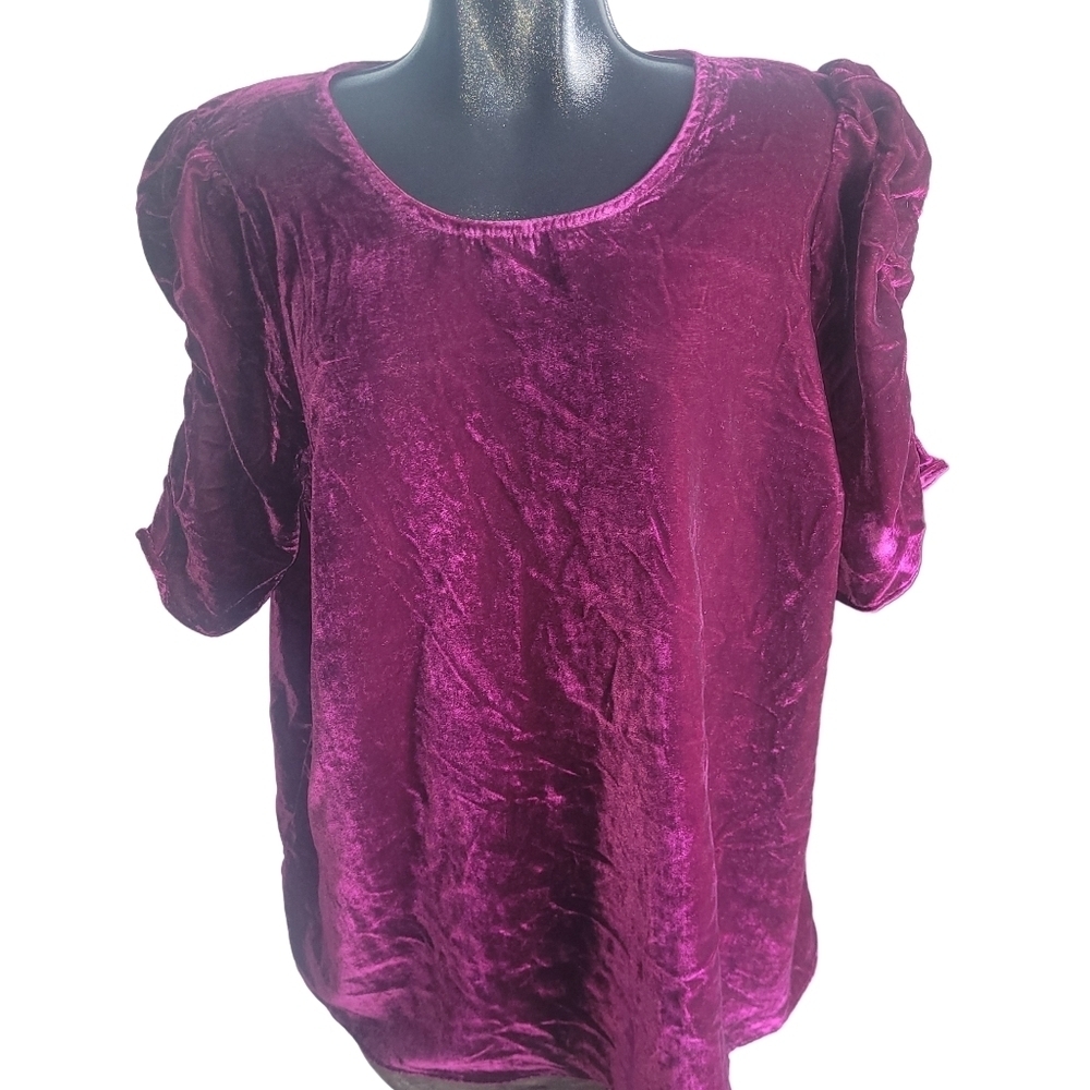 Torrid Plum Colored Velour Short Puff Sleeve Top Size 2
